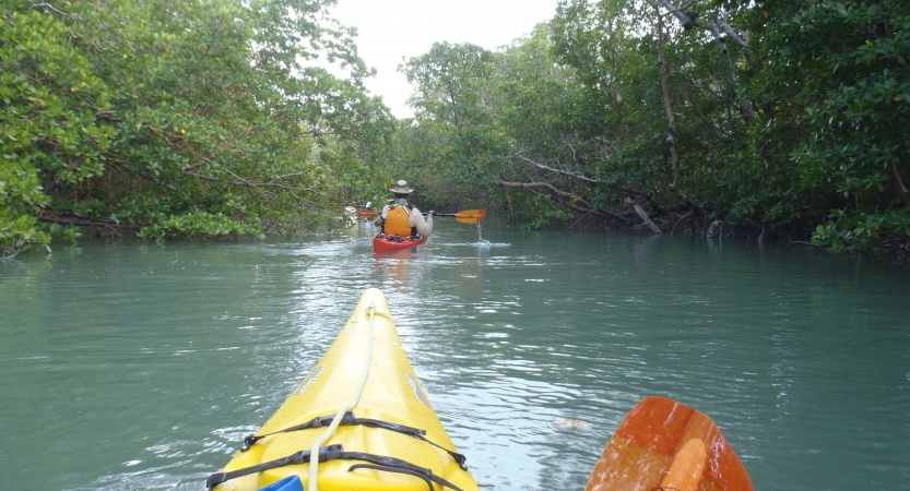 In the foreground, the tip of a yellow kayak points across calm water toward another kayak in the background. The water is framed by green trees. 